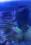 IMG_1666.jpeg
