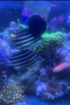 IMG_1667.jpeg