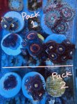 IMG_1904.jpeg