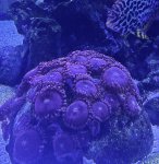 IMG_0862.jpeg