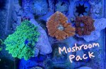 IMG_1906.jpeg