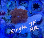 IMG_1905.jpeg