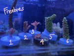 IMG_1903.jpeg