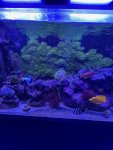 thumbnail_IMG_1976.jpg