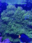 thumbnail_IMG_1977.jpg