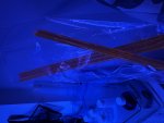 IMG_0873.jpeg