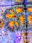 20250802_180128~2.jpg