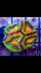 5881518B-DD1A-42D8-B4C1-C6D309B33250.jpeg