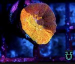 IMG_0837.jpeg