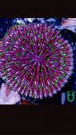 A052D97D-773D-4797-9F47-33DDA609B7FA.jpeg