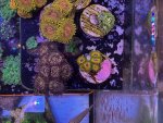 IMG_4044.jpeg