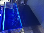 IMG_0174.jpeg