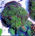 IMG_1562.jpeg