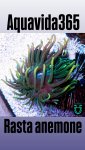 BD26FF70-9713-4A27-9162-8021103880B5.jpeg