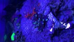 IMG_1738.jpeg