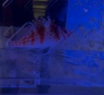 IMG_4011.jpeg