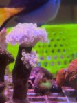 IMG_4012.jpeg