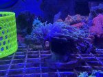 IMG_3987.jpeg