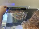 IMG_5056.jpeg