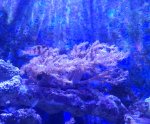 20250610_110653.jpg