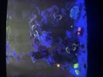 IMG_8974.jpeg