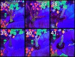 GridArt_20250910_223944948.jpg GridArt_20250910_223944948.jpg