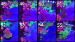 GridArt_20250910_224716692.jpg GridArt_20250910_224716692.jpg