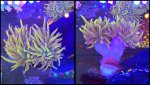 GridArt_20250910_225003418.jpg GridArt_20250910_225003418.jpg