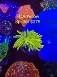 IMG_5633.jpeg
