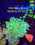 IMG_5637.jpeg