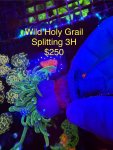 IMG_5638.jpeg