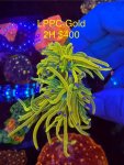 IMG_5639.jpeg
