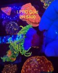 IMG_5640.jpeg