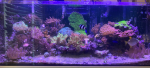 TANK 9-2-25small.png