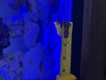 IMG_0697.jpeg