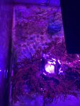 thumbnail_IMG_2127.jpg