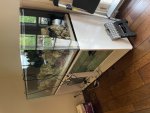 IMG_1325.jpeg