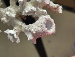 IMG_3179.jpeg