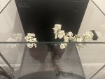 IMG_3185.jpeg