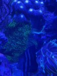 thumbnail_IMG_2135.jpg