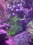 thumbnail_IMG_2136.jpg