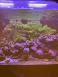 thumbnail_IMG_2137.jpg