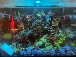 IMG_3228.jpeg