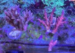 20250920_164844.jpg