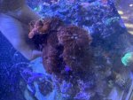 IMG_1012.jpeg IMG_1012.jpeg