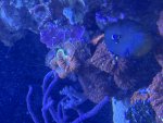 IMG_1013.jpeg IMG_1013.jpeg