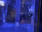 IMG_2185.jpeg