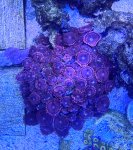IMG_0938.jpeg IMG_0938.jpeg