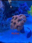 IMG_1050.jpeg