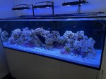 IMG_1419.jpeg